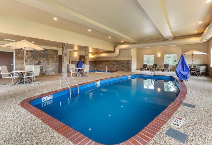 酒店 Comfort Inn & Suites Near Mt. Rushmore