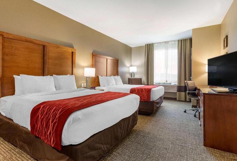 酒店 Comfort Inn & Suites Near Mt. Rushmore