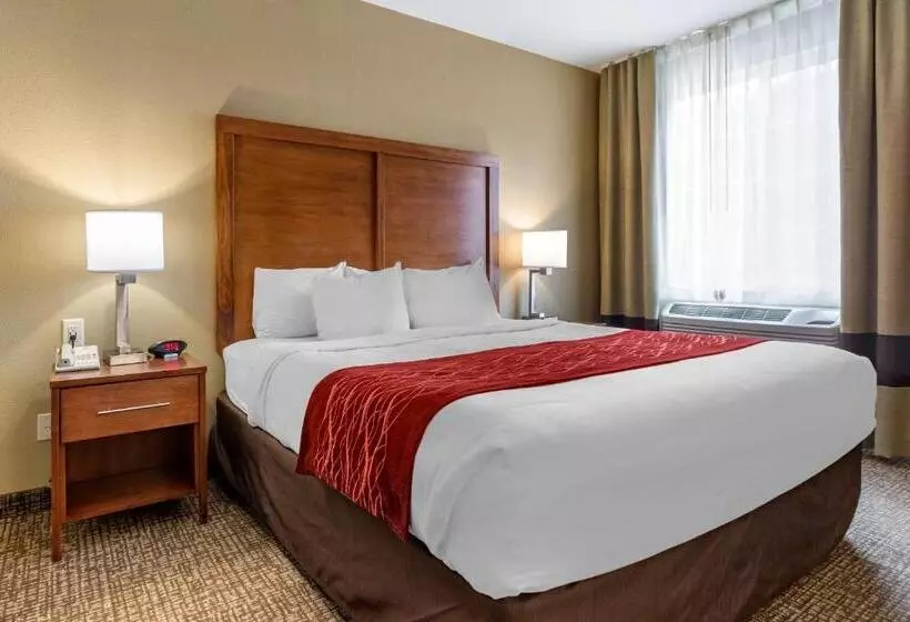 Hotel Comfort Inn & Suites Near Mt. Rushmore