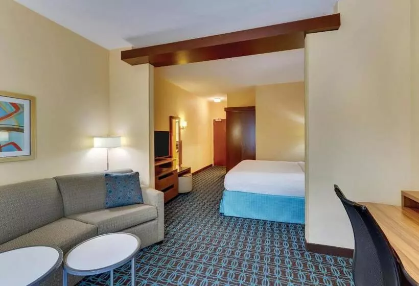 酒店 Fairfield Inn & Suites By Marriott Dunn I 95