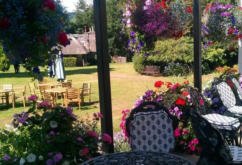 Пансион Holnicote House