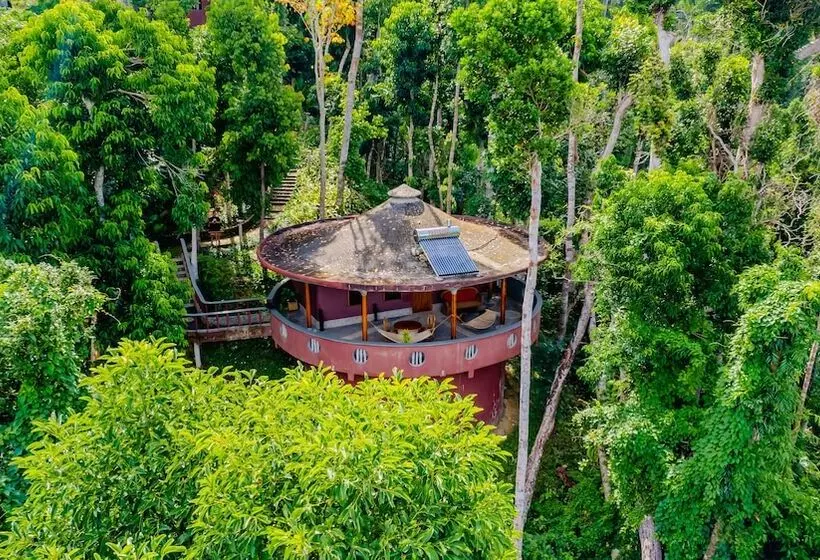 אתר נופש Atremaru Jungle Retreat