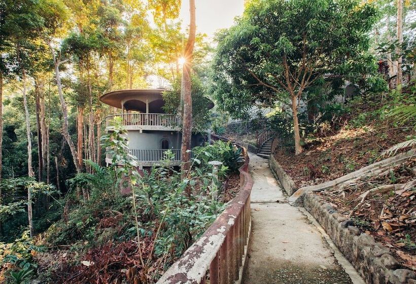 אתר נופש Atremaru Jungle Retreat