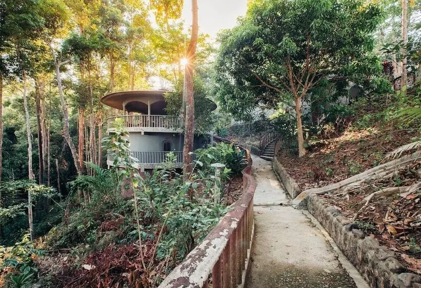 אתר נופש Atremaru Jungle Retreat