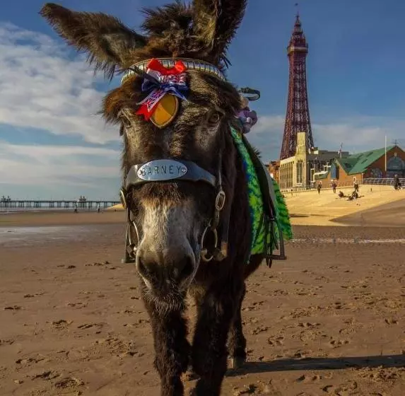 The Bailey Hotel Blackpool