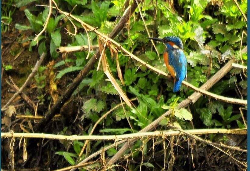 Watermeadow Lakes & Lodges