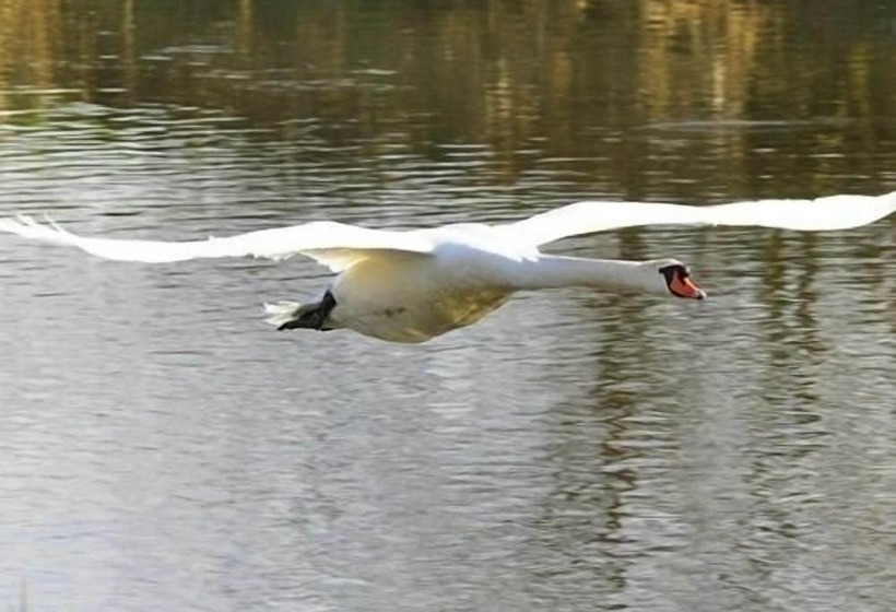 Watermeadow Lakes & Lodges