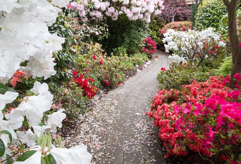 538 Great King Motel