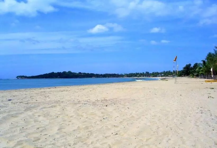 هتل Arugam Bay Surfing Resort