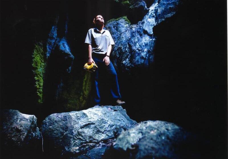 酒店 Capricorn Caves