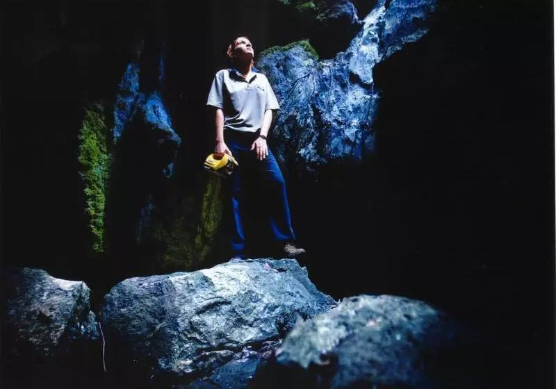 Отель Capricorn Caves