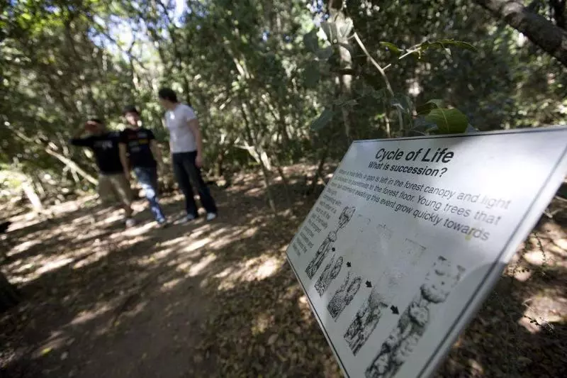 Отель Capricorn Caves