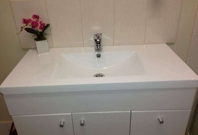 Отель Carnegie Motor Inn