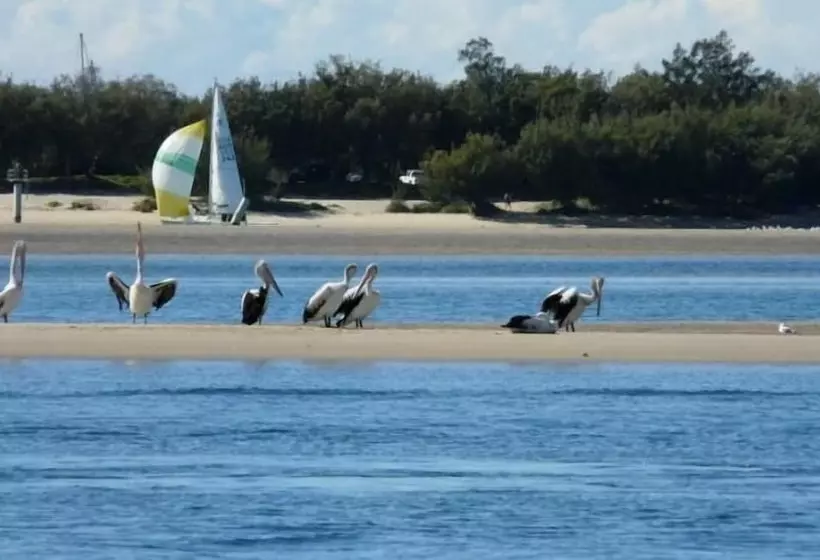 Отель Champelli Palms Apartments