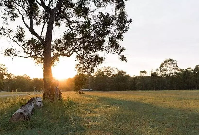 فندق Hunter Hideaway Cottages