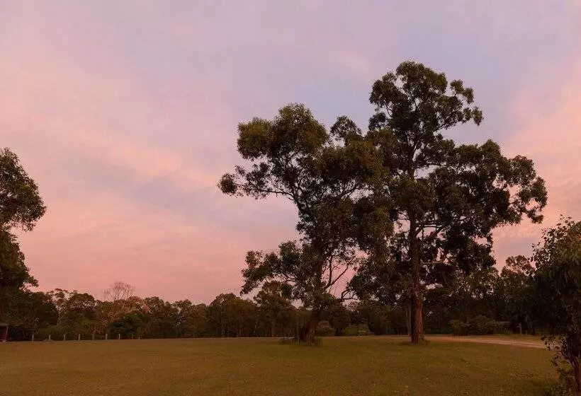 فندق Hunter Hideaway Cottages