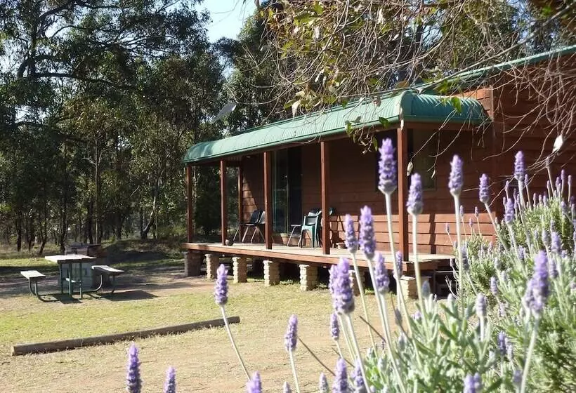 فندق Hunter Hideaway Cottages