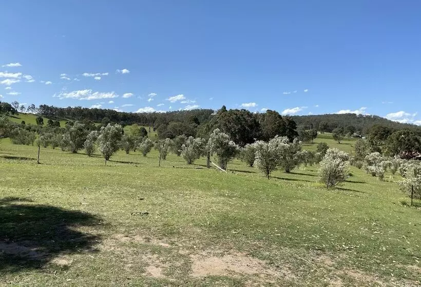 酒店 Hunter Homestead