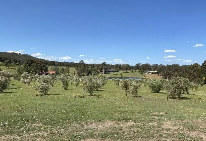 酒店 Hunter Homestead