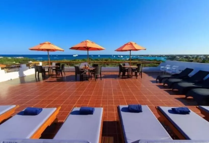 فندق La Casa De Judy