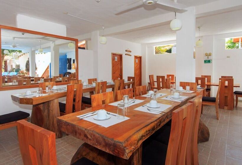 Отель La Casa De Judy