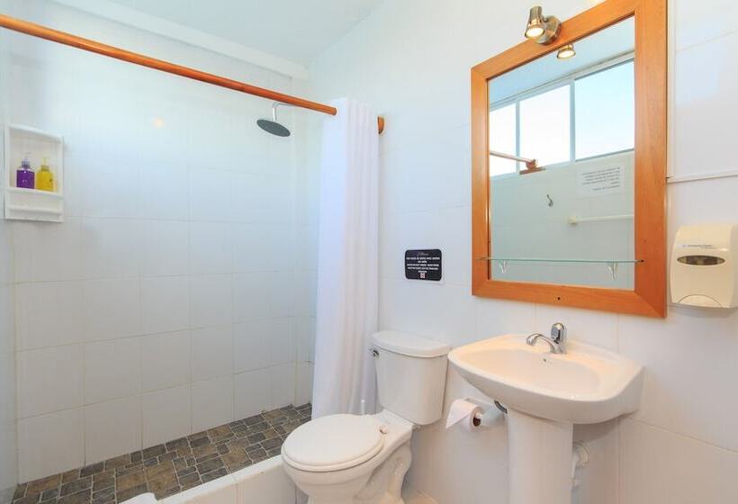 Отель La Casa De Judy