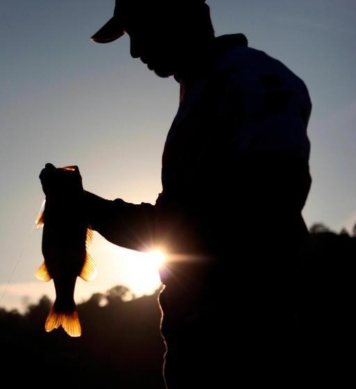 호텔 Mycow Accommodation Mackay