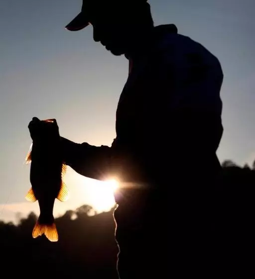 هتل Mycow Accommodation Mackay