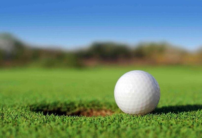 호텔 Mycow Accommodation Mackay