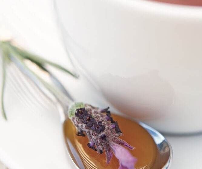 ホテル River Birches