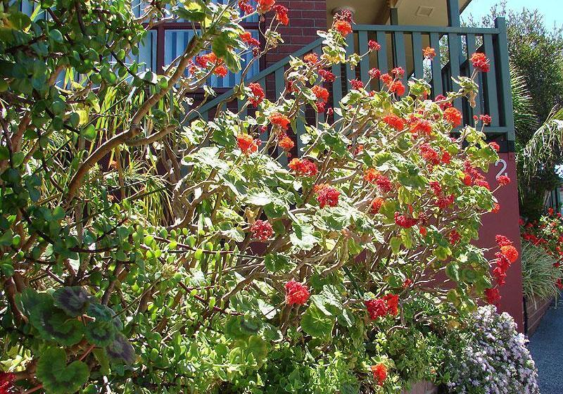 Отель Sunset Waters Villas