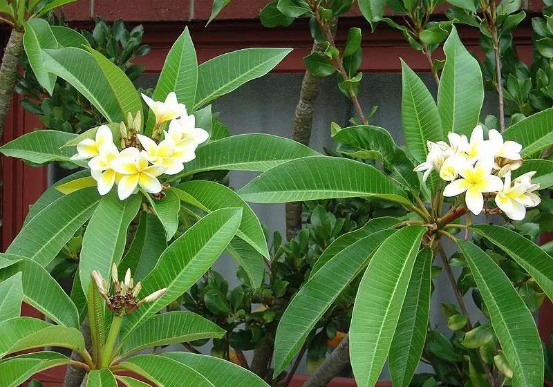 فندق Sunset Waters Villas