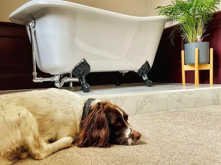 هتل The Leagate Inn