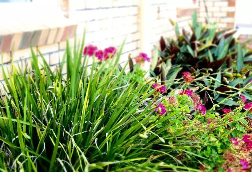 Norfolk Pine Motel Merimbula