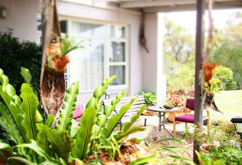 Norfolk Pine Motel Merimbula