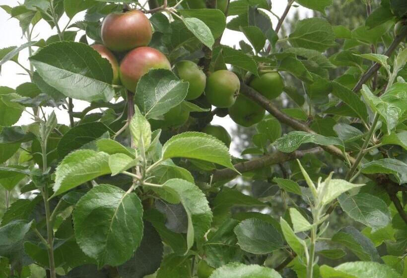 ベッドアンドブレックファースト Walford Court