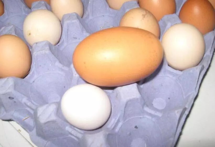 住宿加早餐 Walford Court