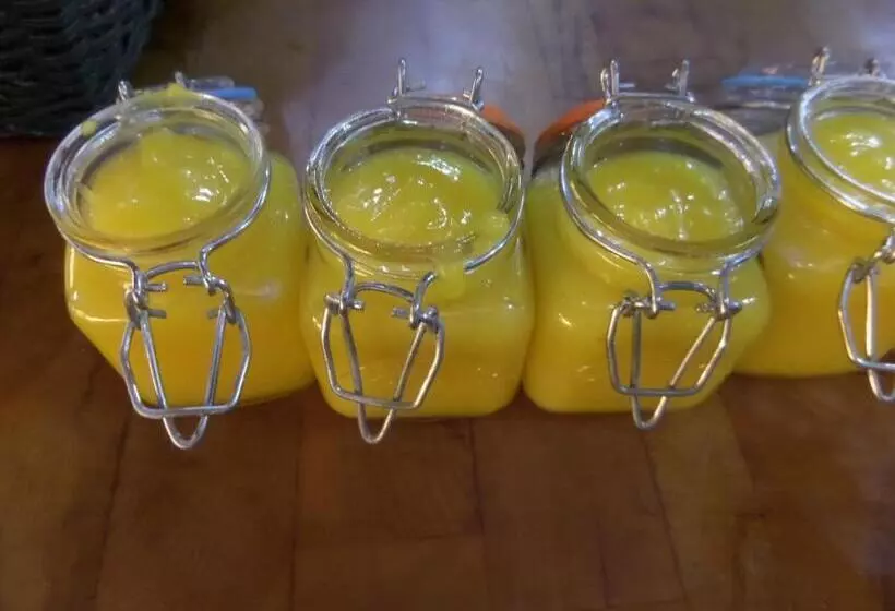 住宿加早餐 Walford Court