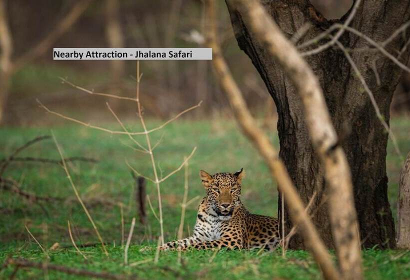 Collection O Hotel Blue Bird