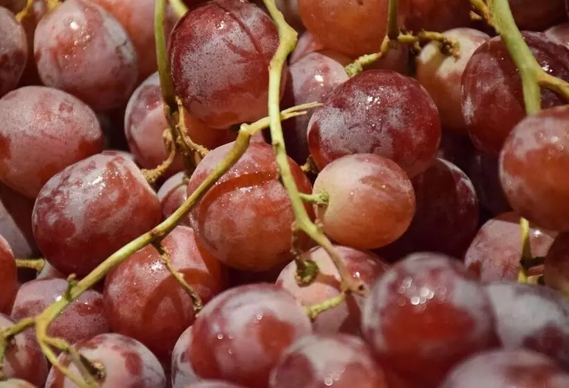 Radisson Blu M Bamou Palace Hotel, Brazzaville
