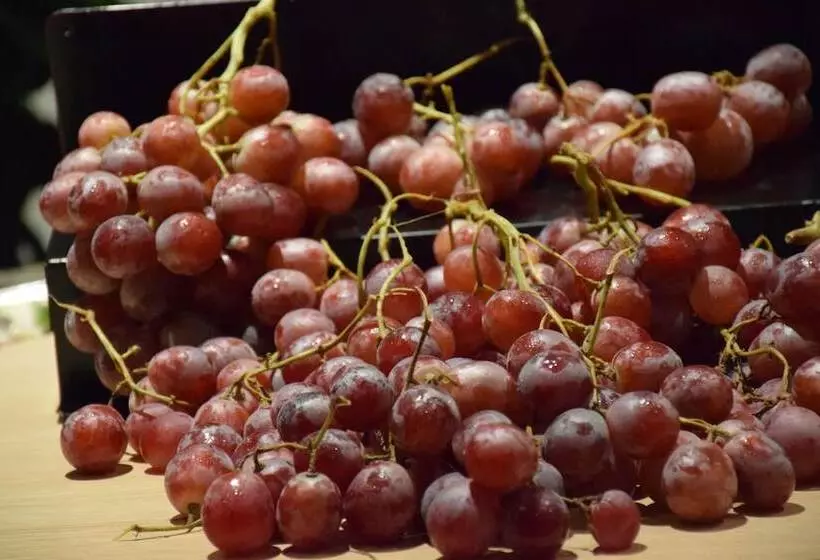 Radisson Blu M Bamou Palace Hotel, Brazzaville