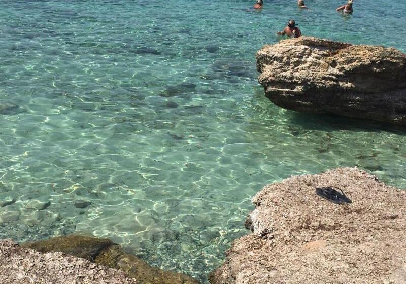 בית מלון כפרי Riviera Palace