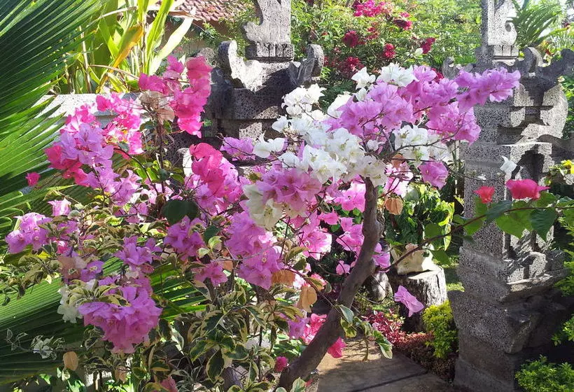 فندق Starlight Restaurant & Bungalows