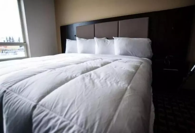 酒店 Stoughton Western Star Inn & Suites