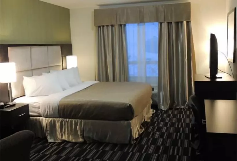 酒店 Stoughton Western Star Inn & Suites