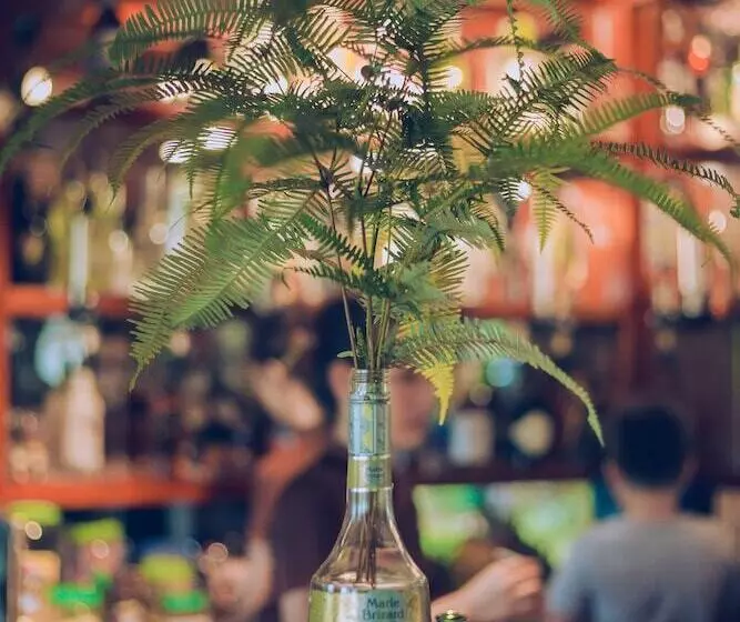 Phong Nha Lake House Resort