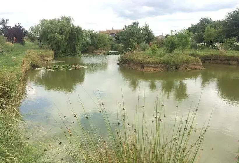 Woodpaddock Bed & Breakfast