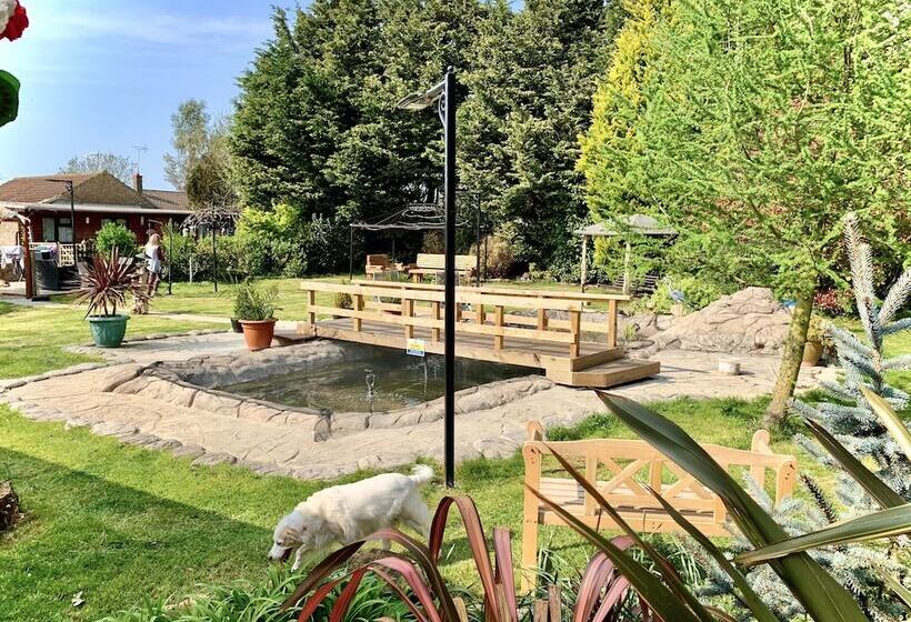 Woodpaddock Bed & Breakfast