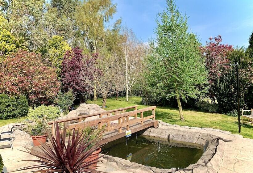 Woodpaddock Bed & Breakfast