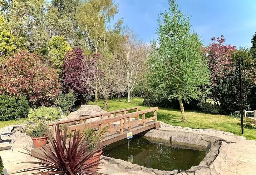 Woodpaddock Bed & Breakfast